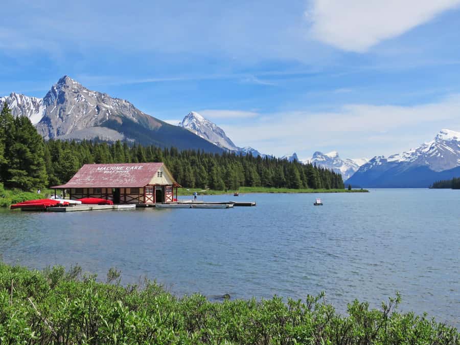 Jasper: Wildlife and Waterfalls Tour with Lakeshore Hike - What the Maligne Lake Day Lodge Time Is For