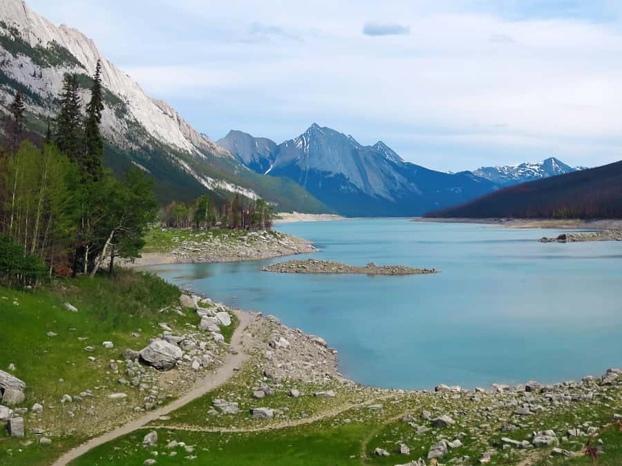 Jasper: Wildlife and Waterfalls Tour with Lakeshore Hike - Price and Timing: Is $77 Worth 6 Hours?