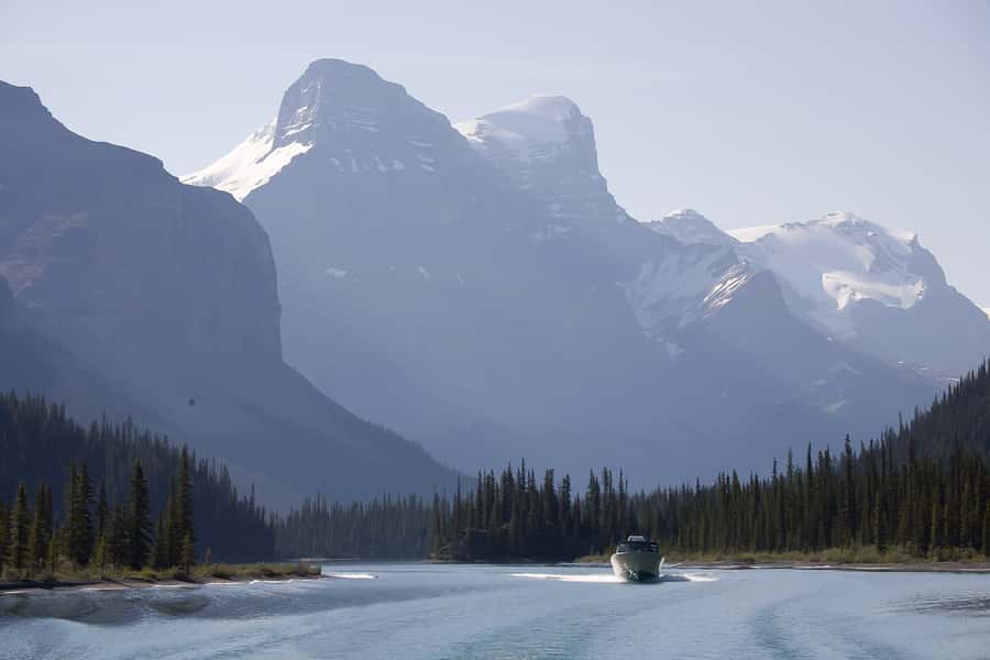Jasper: Wildlife and Waterfalls Tour with Maligne Cruise - Who Should Book This Tour (and Who Might Want Another Option)