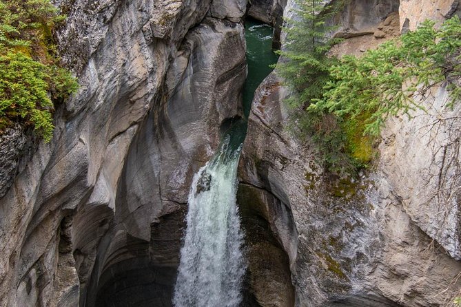 Jasper Wildlife & Sightseeing Tour with Maligne Lake Cruise - Medicine Lake Shore Walks: Short, Scenic, and Actually Interesting