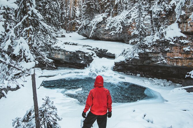 Johnston Canyon Frozen Waterfalls - Small Group Tour - Getting to the canyon via Bow Valley Parkway: views plus wildlife winter talk