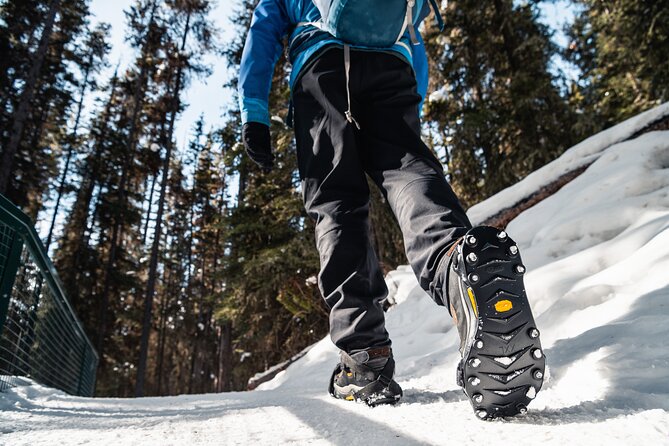 Johnston Canyon Icewalk - Price and value: $81.97 is doing real work here