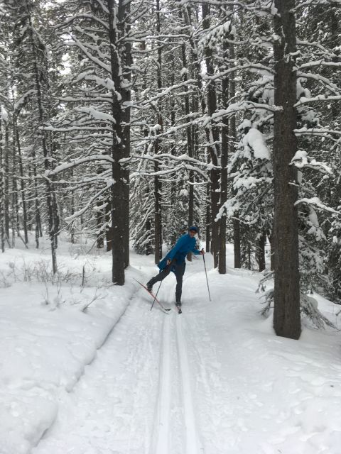 Lake Louise: Cross Country Skiing Lesson with Tour - Two hours on the guided trails near Lake Louise