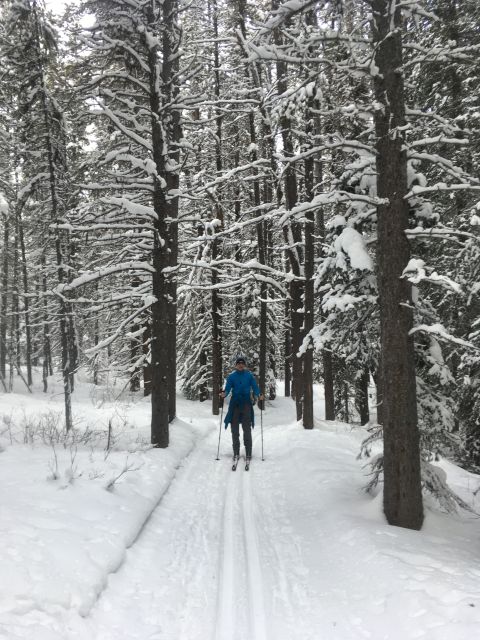 Lake Louise: Cross Country Skiing Lesson with Tour - Meeting at 10:30 near the washrooms: the day’s simple start
