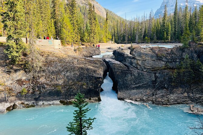 Lake Louise, Moraine/Bow, Emerald & Peyto - 4 Lakes in Banff - Lunch at Lake Louise Village Grill & Bar: simple and timed