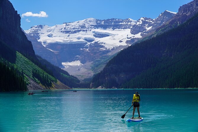Lake Louise, Moraine/Bow, Emerald & Peyto - 4 Lakes in Banff - Peyto Lake: quick viewpoint time, big payoff