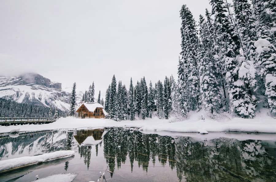 Lake Louise, Moraine, & Emerald: From Calgary/Canmore/Banff - From Calgary/Canmore/Banff in one smooth push