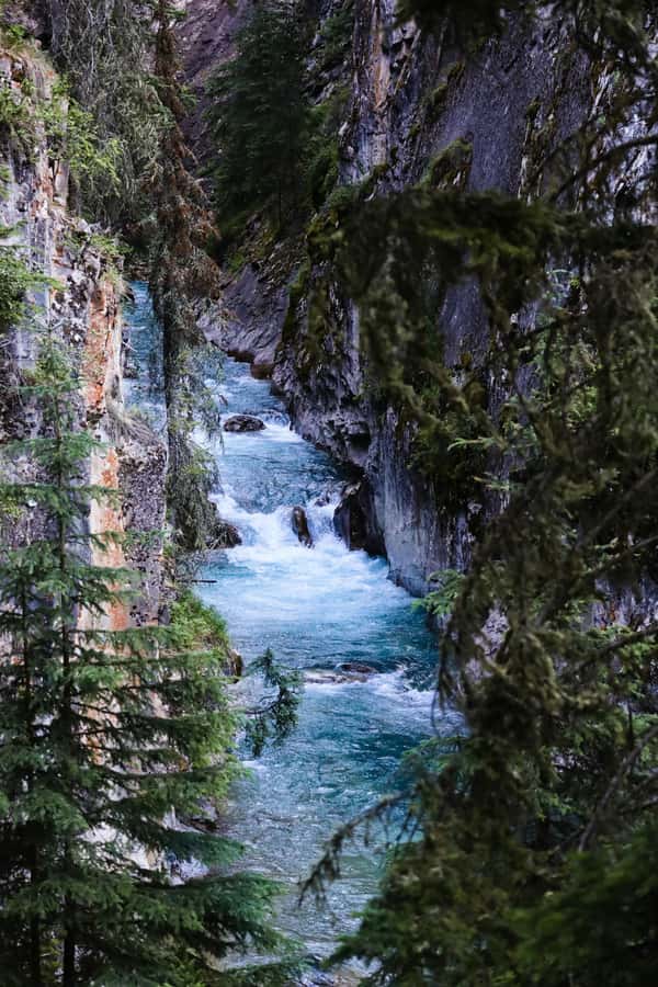 Lake Louise,Moraine,Emerald Lake,Johnston Canyon & BanffTour - Seasonal Reality Check: Your Dates Change the Best Parts
