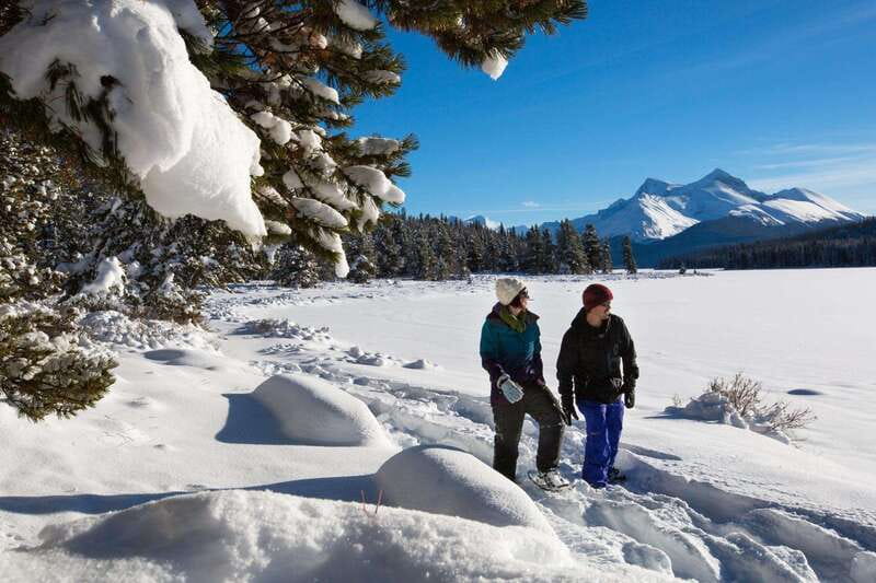 Lake Louise, Peyto Lake, Johnston Canyon & Icefields Parkway - A Winter Day That Hits the Big Names Without Feeling Rushed