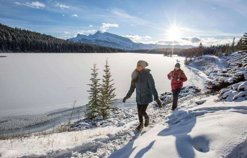 Lake Louise, Peyto Lake, Johnston Canyon & Icefields Parkway - Lake Louise: Frozen Fairyland, Glacier Framing, and Lunch With Options