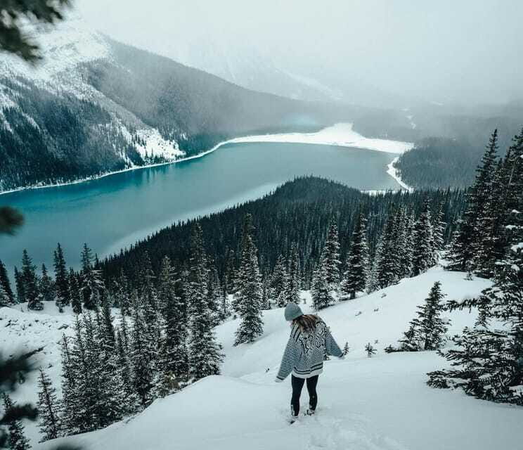 Lake Louise, Peyto Lake, Johnston Canyon & Icefields Parkway - Price and Value: Is $76 Worth It?