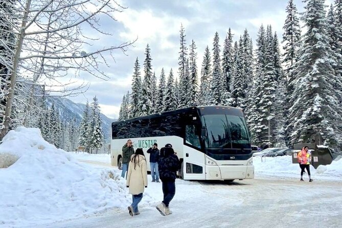 Lake Minnewanka, Peyto Lake, Bow Lake , Icefields - Pickup and Route Reality: Calgary, Canmore, or Banff
