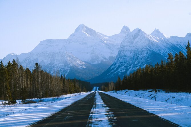Lake Minnewanka, Peyto Lake, Bow Lake , Icefields - Lake Louise Lunch Break: Plan for 45 Minutes and No Meal Included