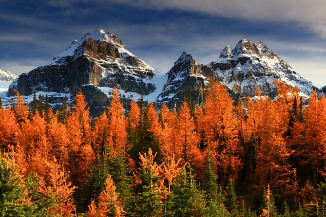 Larch Valley/Moraine Lake Shuttle Transfer from Banff and Canmore - Key Highlights You’ll Care About