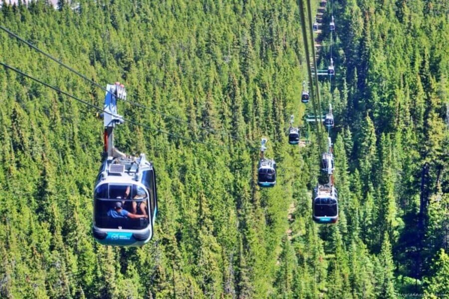 Louise Louise, Banff Gondola, Minnewanka & Emerald Lakes - Banff Gondola on Sulphur Mountain: The Wide-Open View You Came For