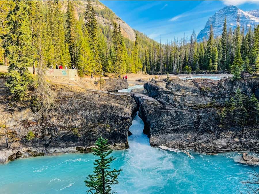 Louise, Moraine/Bow, Emerald, Peyto- 4 Lake Tour - Moraine Lake vs. Bow Lake: The Winter Switch You Should Plan For