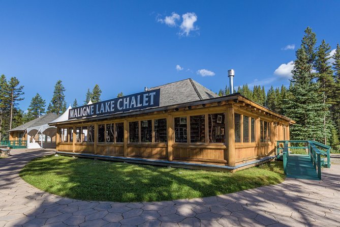 Maligne Lake Cruise - Wildlife-Spotting Tips That Actually Help