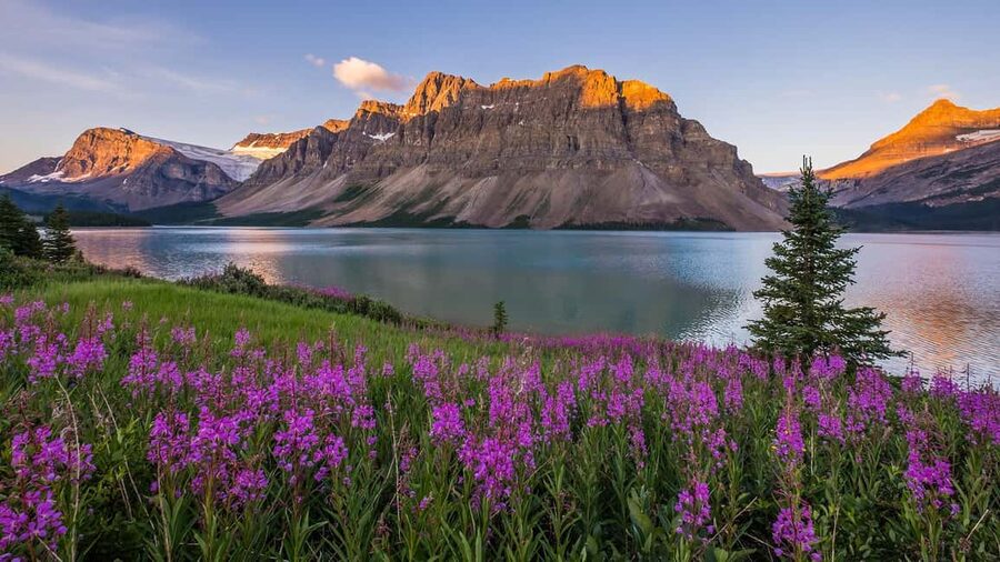Moraine Lake and Iconic Sights of the Rockies Private Tour - Key Things I’d Notice First