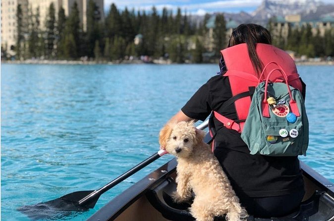Moraine Lake and Lake Louise Shuttle | End of Summer Seat Sale! - Driver guidance: the difference between seeing it and working it