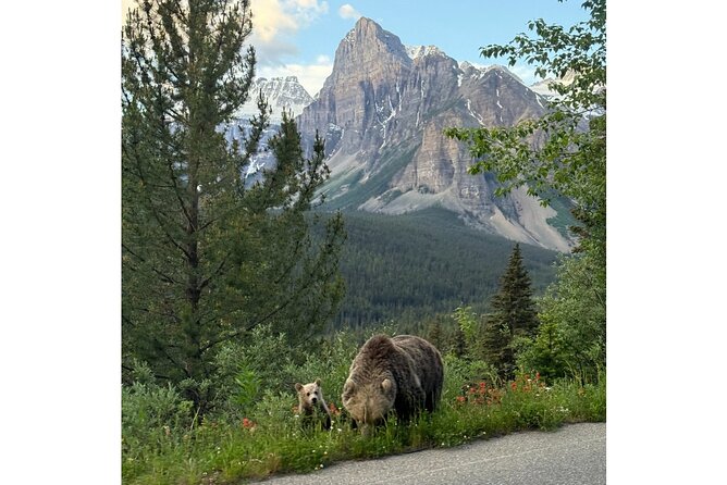 Moraine Lake, Lake Louise Afternoon Tour Half day From Banff - Your Upscale Van Ride: Comfort You’ll Notice on Winding Roads