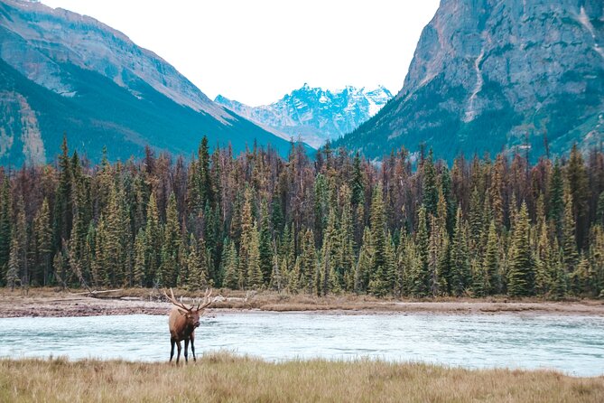 Moraine Lake, Lake Louise & Banff Secrets | Award-Winning Tour - Price and logistics: is $142.62 per person good value?
