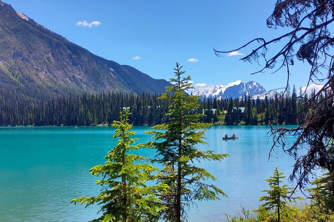 Peyto Lake, Bow Lake Lake Louise Moraine Lake Half Day Tour - The driving highlights: Cascade, Castle, and quick scenic pulls