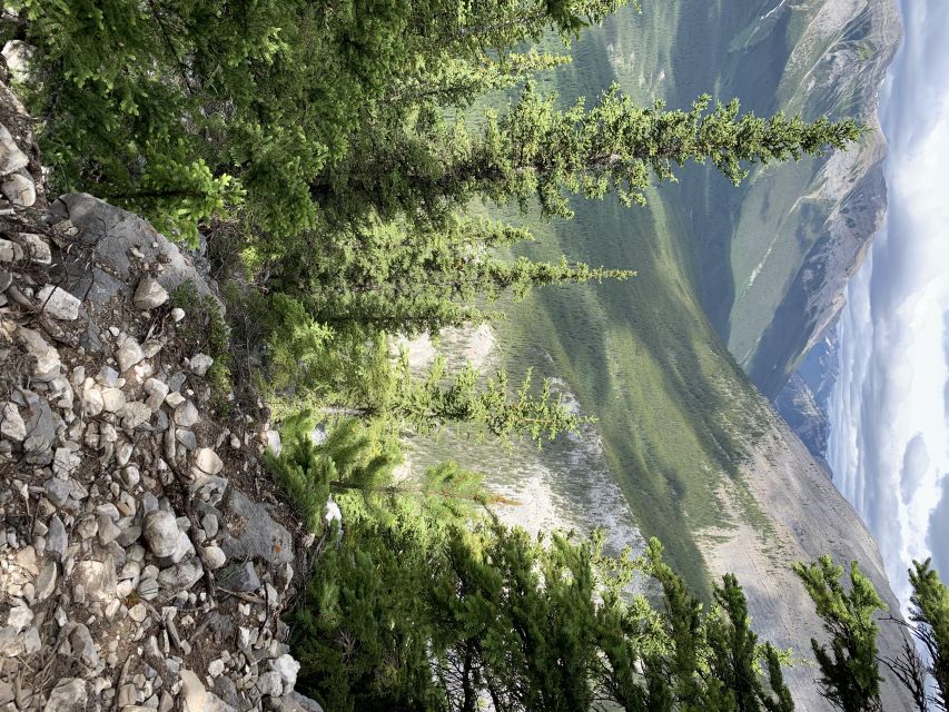 PRIVATE: Bear Country Hiking Tour - 4H Adventure - Trail Highlights: Forest Footing, Rocky Outcrops, and Rockies Vistas