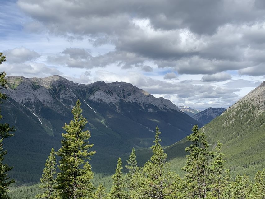 PRIVATE: Bear Country Hiking Tour - 4H Adventure - Price and Value: Paying $360 for a Private Group (Not Per Person)