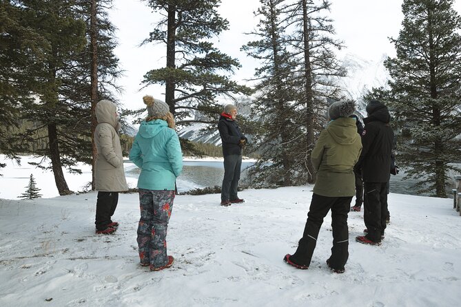 Private Forest Bathing Experience Connect with Nature - Weather, Pace, and Who Should Book This