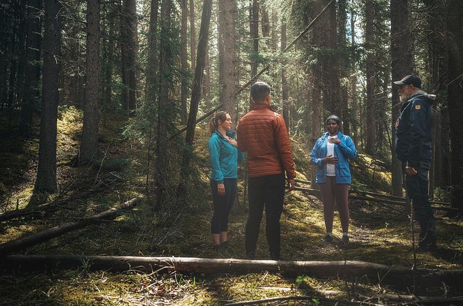 Private Forest Bathing Experience Connect with Nature - Should You Book Original Path’s Forest Bathing Session?
