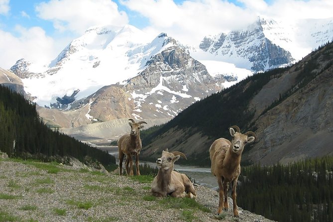 Private Tour: Majestic Mountains PHOTO SAFARI Drive - 4H - Key things that make this tour worth a look