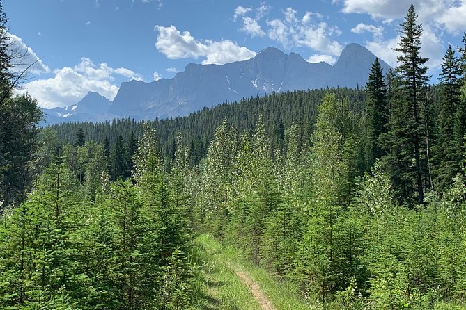 Private Tour: Majestic Mountains PHOTO SAFARI Drive - 4H - Kananaskis Mountain Country: the photo safari that stays off the main roads