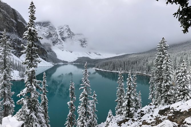 Private Tour of Lake Louise and the Icefield Parkway for up to 12 guests - Bow Lake and Norquay Lookout: quieter headwaters and a final town view