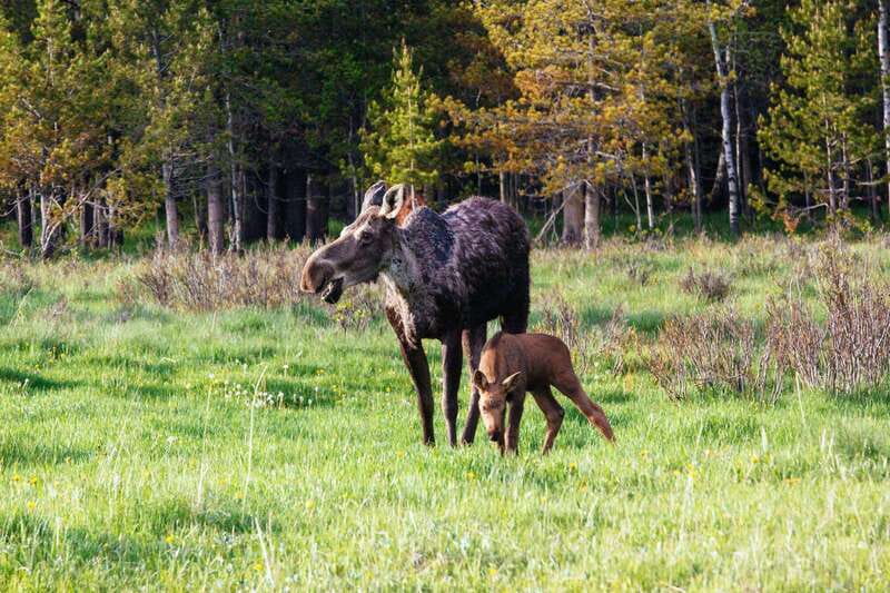 PRIVATE Wilderness and Wildlife Walking Tour - 3hrs - Family fit: age 8+, real expectations, and who this isn’t for