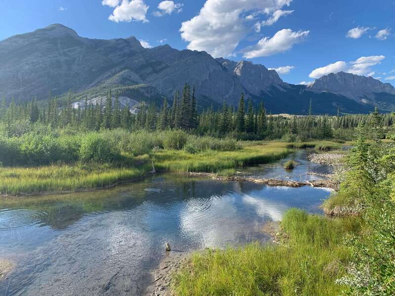 PRIVATE Wilderness and Wildlife Walking Tour - 3hrs - Getting to the trail: Canmore pickup and the off-crowd start