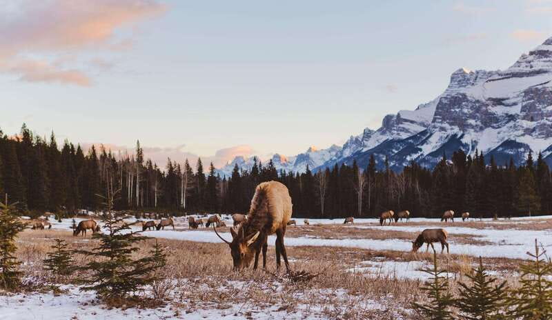 PRIVATE Wilderness and Wildlife Walking Tour - 3hrs - The walk itself: hiking with a wildlife-minded guide