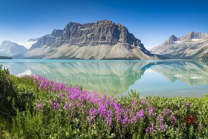Self-Guided Audio Tours for the Canadian Rockies - Icefields Parkway: the glacier drive you’ll talk about for years