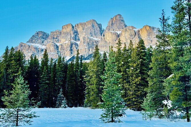 ShuttleBus 2way Banff to Lake Louise (1Hr) and Moraine Lake (1Hr) - When roads or access change: how your day can pivot without losing the best views