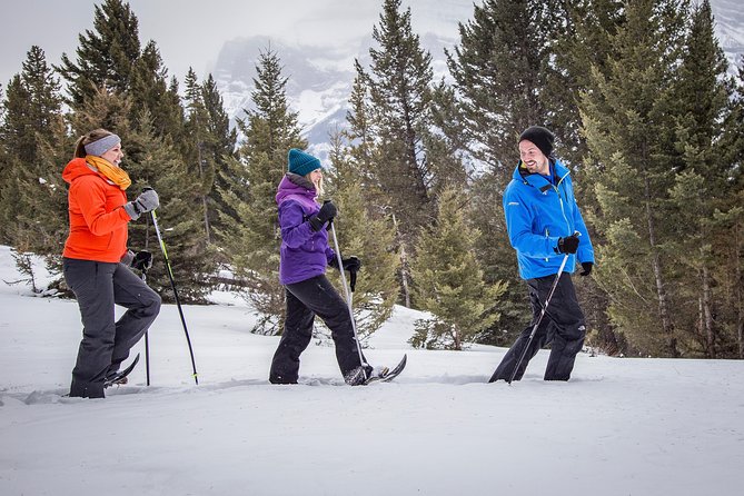 Snowshoeing Tour to the Paint Pots - Entering Kootenay National Park: the trail start you’ll feel right away