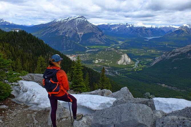Sulphur Mountain Highline Trek in Banff - Tree line to alpine: the view payoff that keeps growing