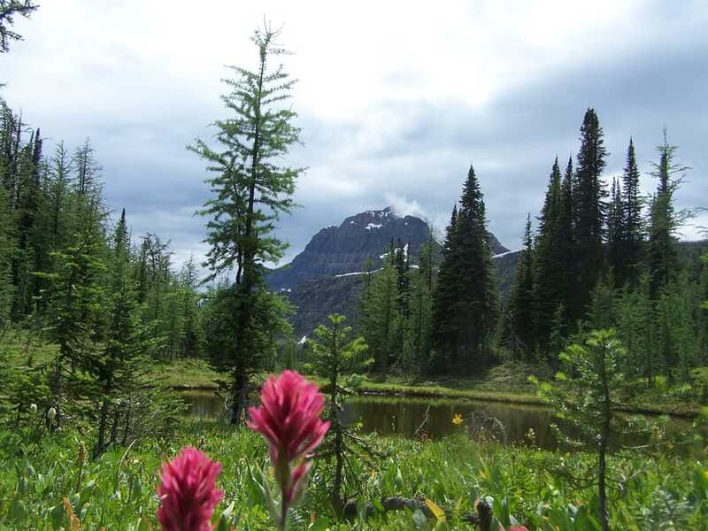 Sunshine Meadows Daily Guided Hike with Gondola - The guides make a difference: Sam, Kohei, Sara, and Meghan