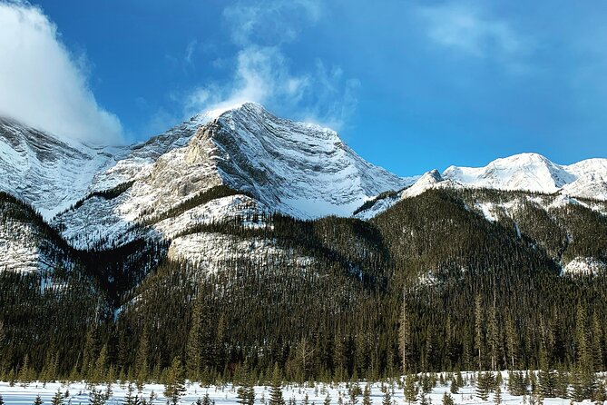 The BANFF NATURE Walk - 2hr Adventure - Guides Like Ewen, Isla, Jacob, Ben, and Euan: Why the Info Feels Useful