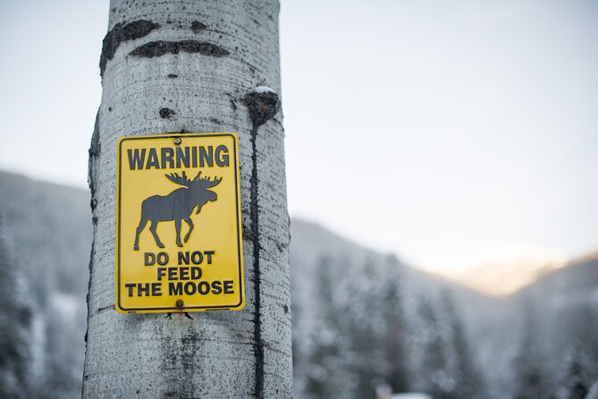 The BANFF NATURE Walk - 2hr Adventure - Price and Value: Is $81.56 Worth It?
