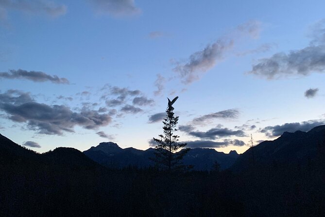 The Banff Stargazing Tour - 2hr Walking Tour - The 5 km / 3.5 mi Night Walk: Easy Distance, Real Terrain