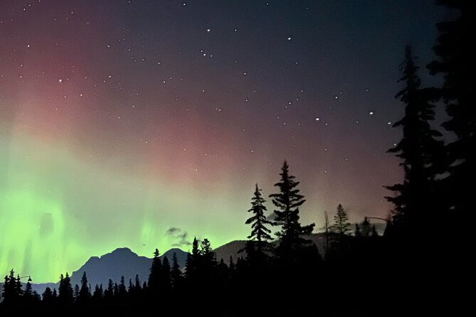 The Banff Stargazing Tour - 2hr Walking Tour - Who This Tour Fits (And Who Should Skip It)