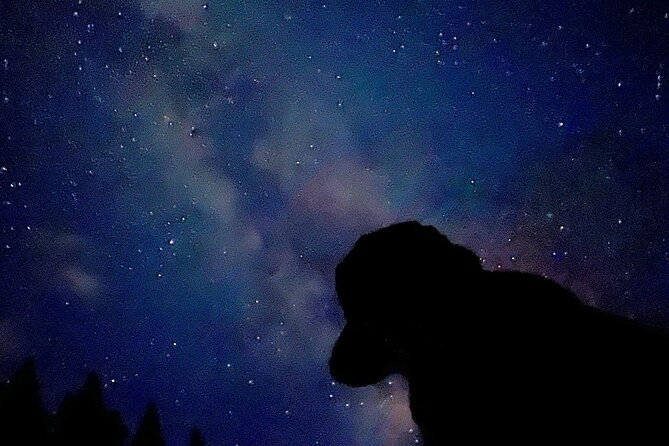 The Banff Stargazing Tour - 2hr Walking Tour - Price and Value: Is $68.34 Worth It?