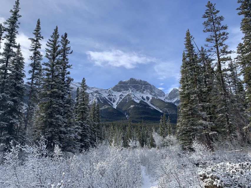 The Canmore HISTORY TOUR - Cowboys and Coal Miners 2H Walk - FAQ