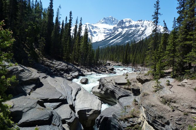 Wapiti - Uncover the Beauty of Western Canada (7-days) - Price and value: why $1,581.07 can make sense here