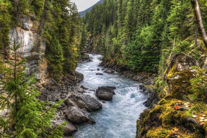 Whitewater Rafting on Jasper's Fraser River - Key highlights that matter on the Fraser