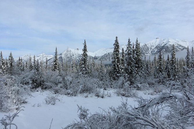 Wilderness and Wildlife Hiking Tour - 3hr Hike - Price and value: is $93.66 for 3 hours a smart use of your time?
